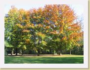 2005-10-28 14-04-01 DeYeuro 37,6mm 1_60_eme F5,6 * 2592 x 1944 * (4.4MB)